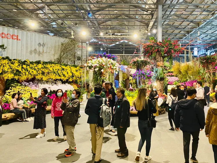 主題館打造白堊紀場景。資料畫面