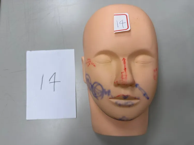陳女使用練習施作的矽膠人頭。移民署新北市專勤隊提供