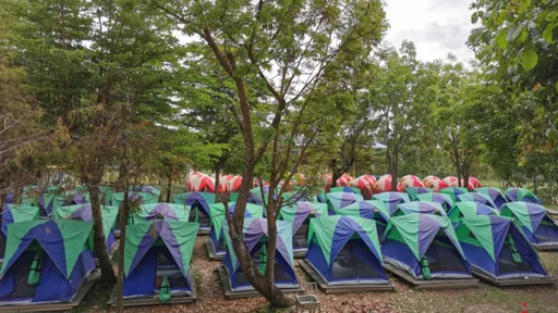 逼300多位小五生下跪還飆髒話　輔導員認了這件事！遭開除恐還面臨最高60萬罰款