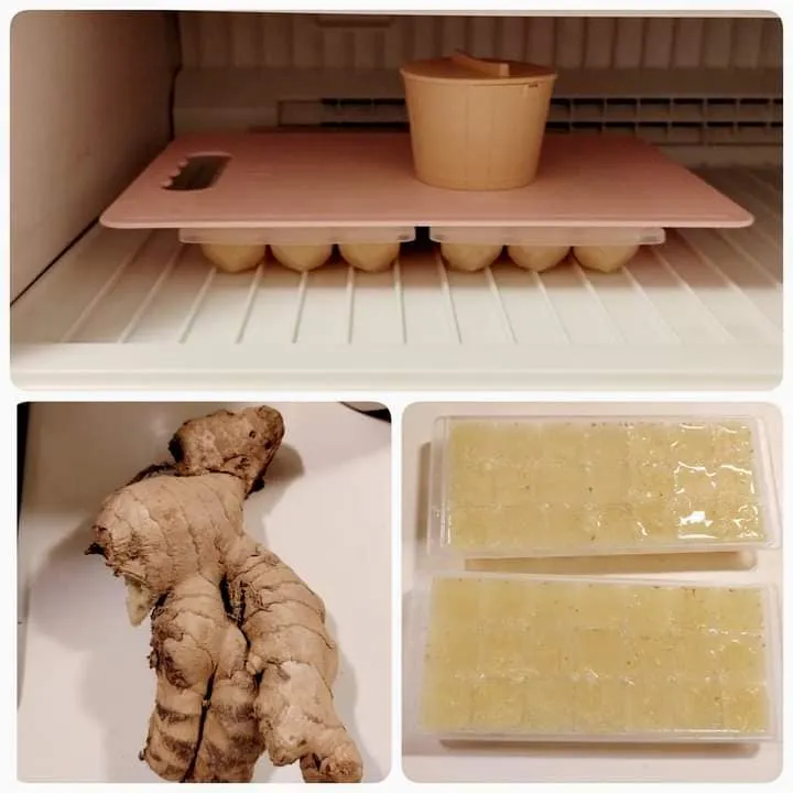 薑的話也可以，切碎後凍成塊狀，再取出放在收納盒內。《Costco好市多 商品經驗老實說》