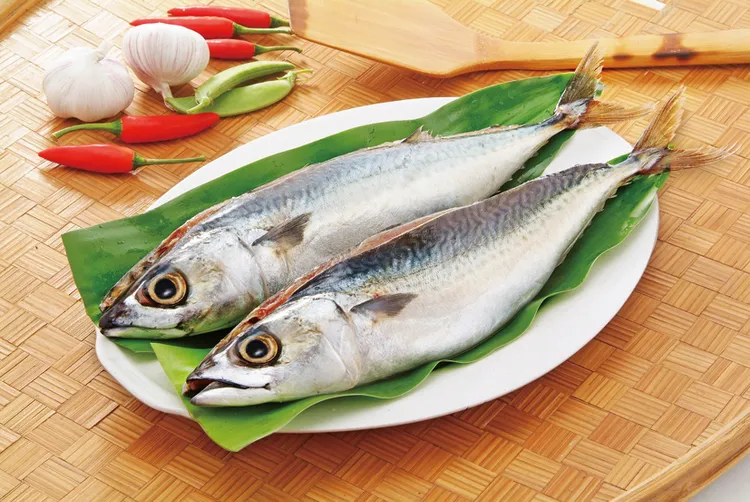 南方澳薄鹽鯖魚2條特價99元。業者提供