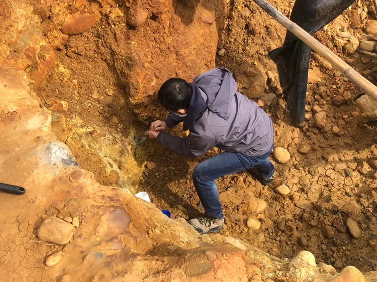 專案小組採集污染土壤進行化驗。檢警提供