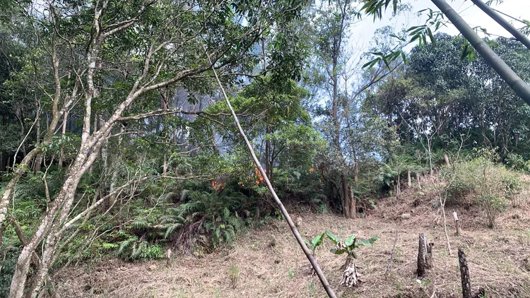 火勢未擴大延燒，約1個多小時被撲滅。翻攝畫面