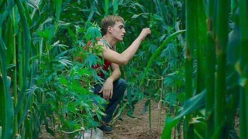 小農放下鋤頭變明星 《桃子樹》演出被封「影壇驚嘆號」