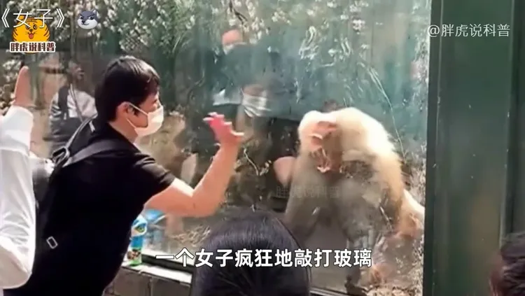 翻攝自西瓜視頻