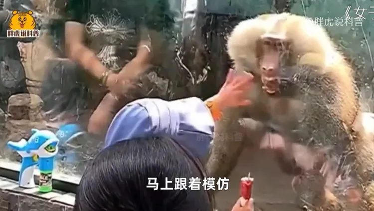 小孩有樣學樣。翻攝自西瓜視頻