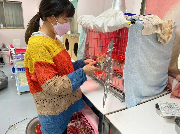 動保員劉可茵細心照顧毛寶貝。動保處提供