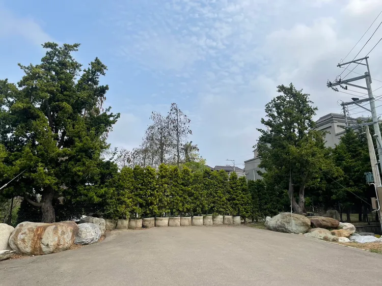 顏家位在沙鹿區豪宅，在去年爆出違建爭議，原本的大門，目前已變成綠色圍籬。讀者提供