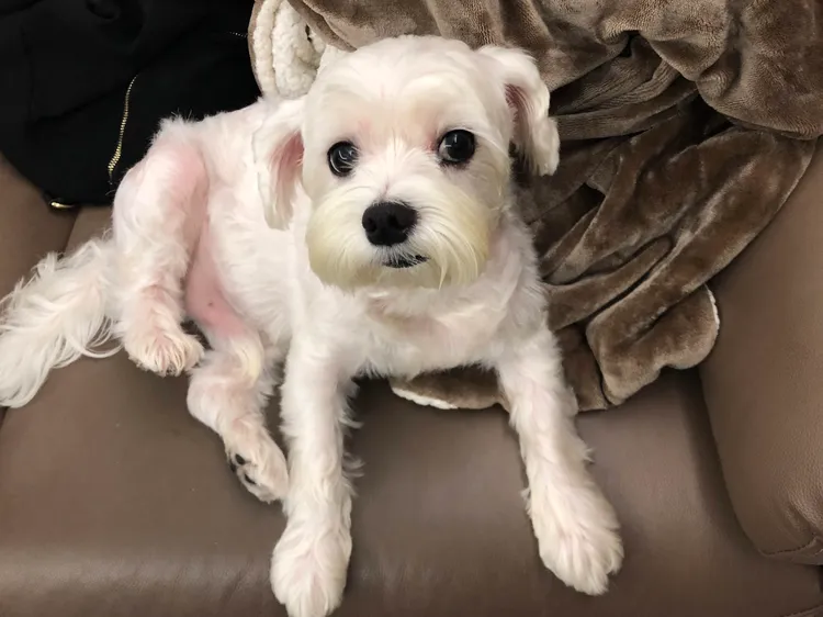 莊可樂對家人影響滿很大。莊人祥提供