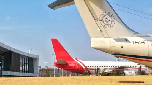 中國教授吐槽中國犯罪多「還靠歐美賞飯吃」 遭停職徹查