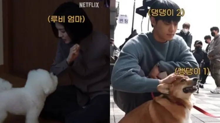 宋慧喬（左圖）、李到晛都曾帶自己的寵物到片場。翻攝Netflix YouTube