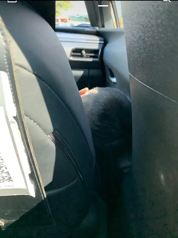 年幼的孩子就坐在前座睡覺。取自爆廢公社