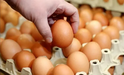 蛋荒心不慌!一表掌握蛋的「替身」食物  「這樣」料理保住更多蛋白質