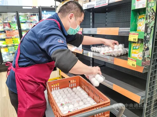 平價雞蛋終於來了!全聯、家樂福今開賣1顆不到7元