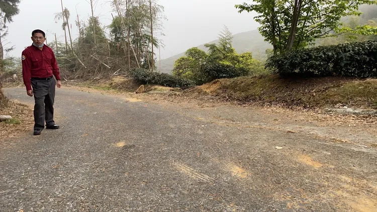 茶園邊坡產業道路有車輪的痕跡。民眾提供