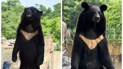 清明連假！高雄天天有兒童節活動　12歲以下免費遊壽山動物園