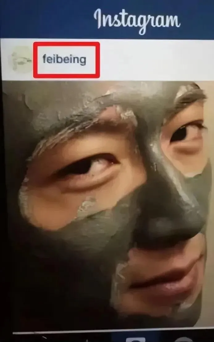 王菲私人帳號IG還有謝霆鋒臉塗泥漿的照片。翻攝壁紙包微博