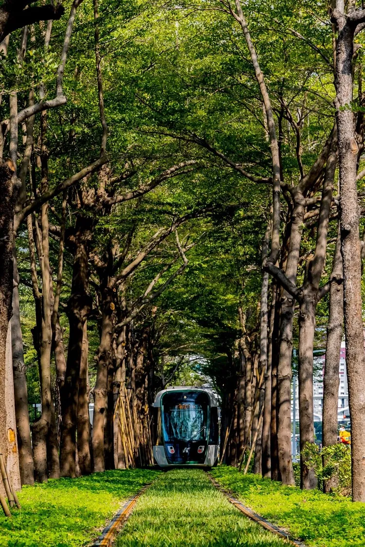 高雄市區通勤月票399元方案，預計4月上路，可在高雄享無限次搭捷運、公車、輕軌、渡輪、公共自行車YouBike，7月再納入台鐵。讀者提供