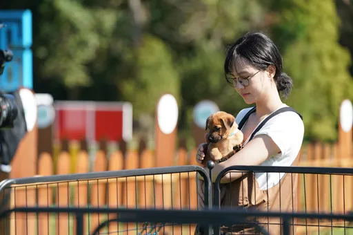 魏蔓愛犬離世「悲傷像個無底洞」 直到遇上牠才撫平傷痛