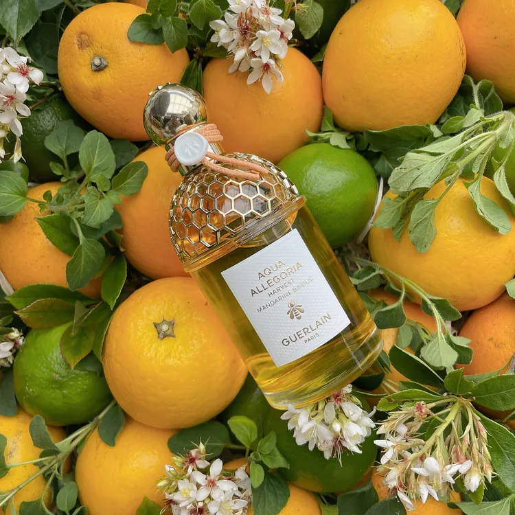 馬佐拉柑橘與羅勒淡香水。張家玲攝