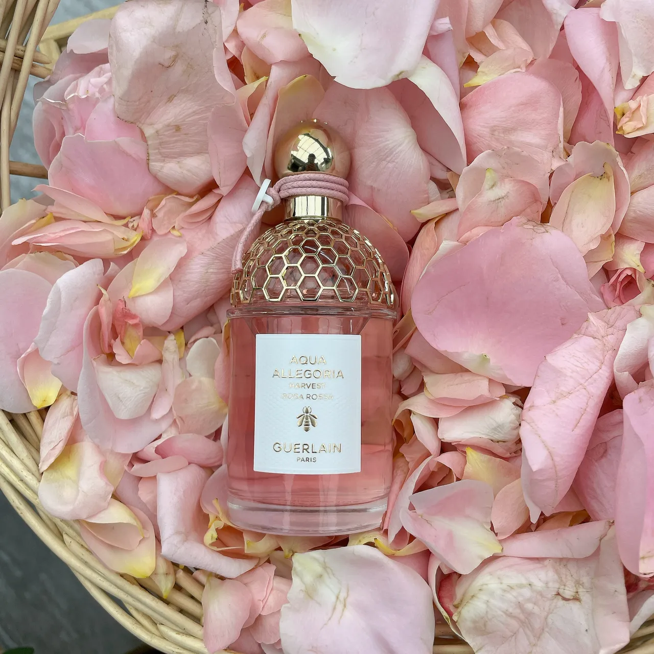 格拉斯玫瑰與黑醋栗淡香水。張家玲攝