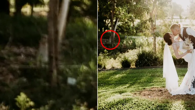 翻攝自leah29murphy TikTok