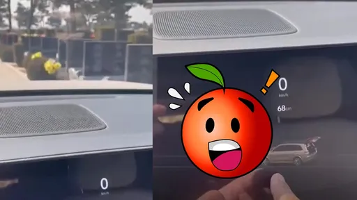 毛毛的!清明將至到墓園祭祖 他沒看到人、雷達螢幕裡卻都是「人」