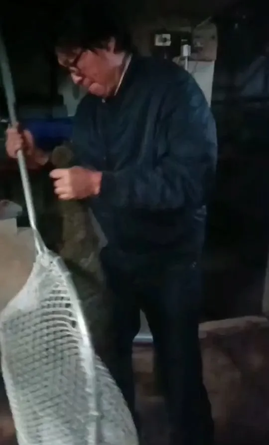 盧紀燁把奄奄一息的狒狒放進捕網中。翻攝畫面