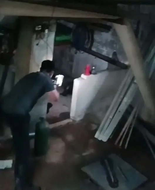 現場開了一發麻醉槍。翻攝畫面