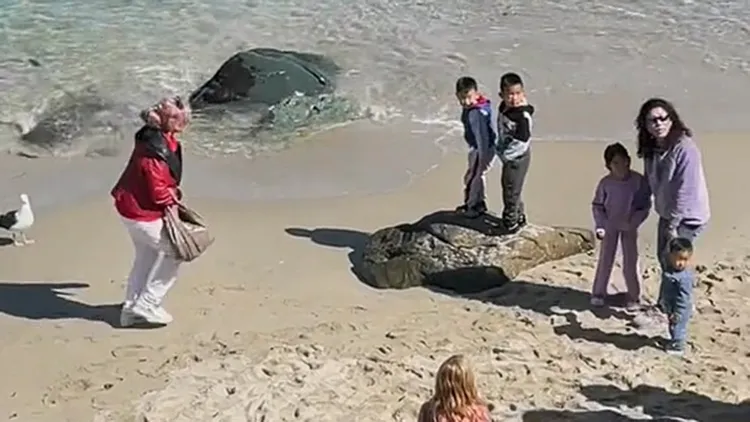 翻攝自raspberryblush_ TikTok