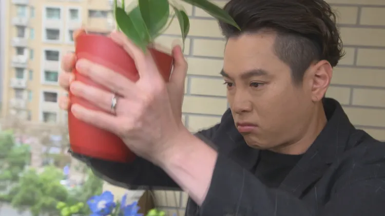 吳東諺《市井豪門》劇中愛吃醋又有幻想症，看到老婆跟前男友巧遇，一氣之下想砸盆栽洩恨。民視提供