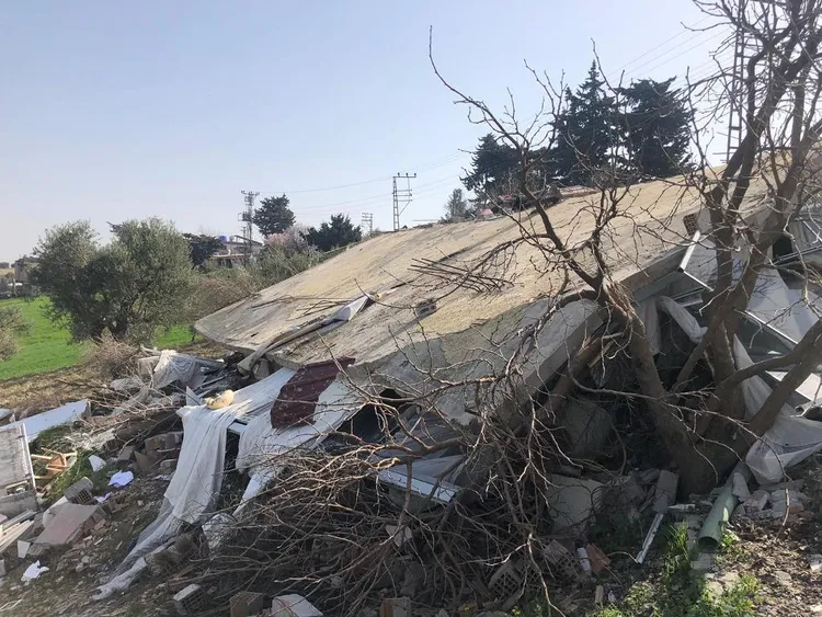 狗狗受困地點。翻攝推特