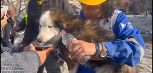 志工餵艾力克斯喝水。翻攝推特