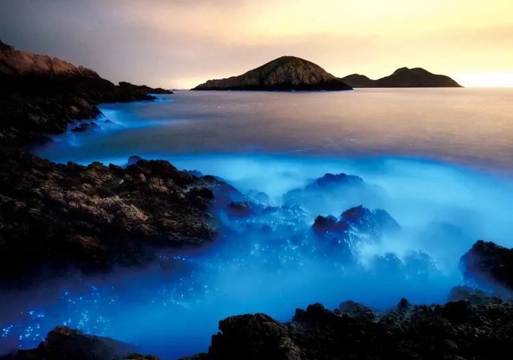 馬祖知名景觀藍眼淚。易飛網提供