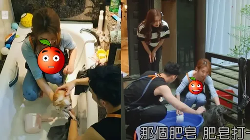 郭書瑤彎腰替牠洗澡炸出E奶　攝影師「超邪惡視角」曝光網暴動