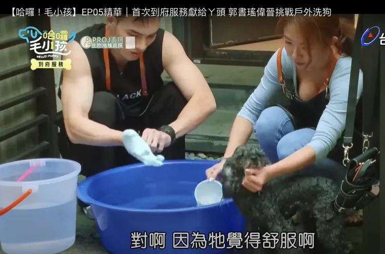 瑤瑤（右）和黃偉晉蹲在門口替狗狗洗澡。翻攝《哈囉！毛小孩》YouTube