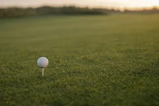 LPGA台湾赛因疫情停办3年!今年这点贵到「十分惊讶」 总部决定不办了
