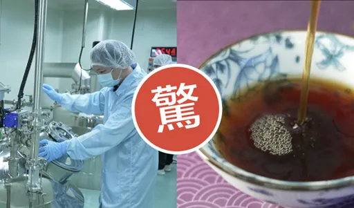 超猛中藥廠!蓋八年只為重現「宮廷御用千年藥方」