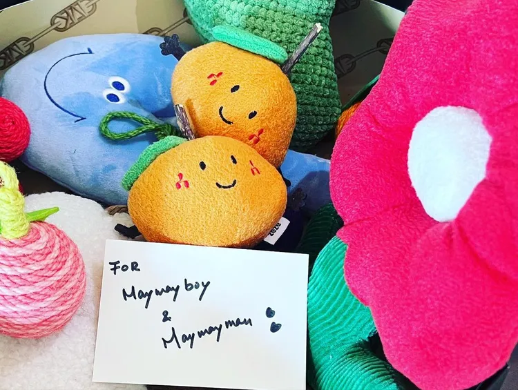 連舒淇家中的愛貓，都收到了MICHAEL KORS送上的各式玩具。翻攝sqwhat IG