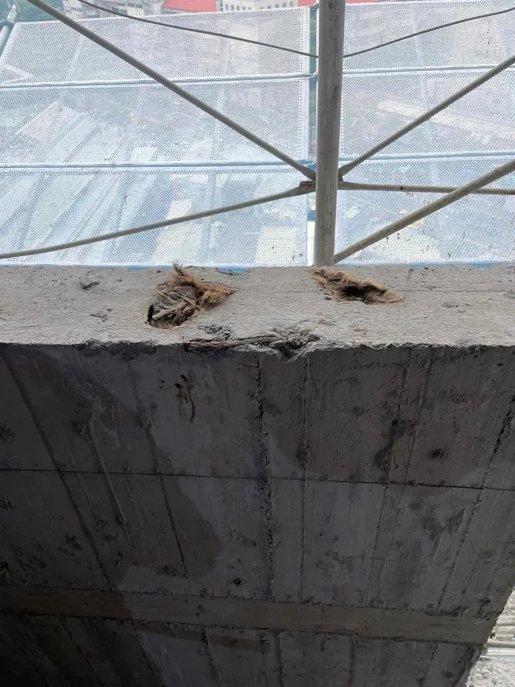 日前一名網友在工地驚見水泥封屍第一現場，有老鼠整隻被灌漿活埋，還飄出屍臭味。翻攝《路上觀察學院》社團