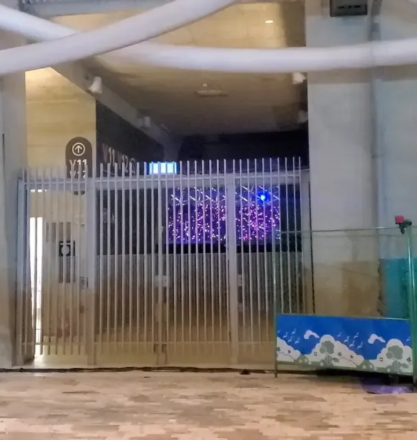 原PO在場館外聽演唱會的位置，能看到場內觀眾席，但無法看到舞台上的表演。翻攝自論壇Dcard