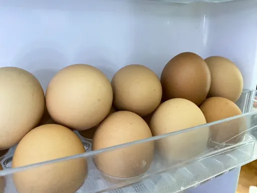 蔡政府壞台灣以農立國招牌！禽流感區進口雞蛋　農民怒缺肉從非洲豬瘟疫區進嗎？