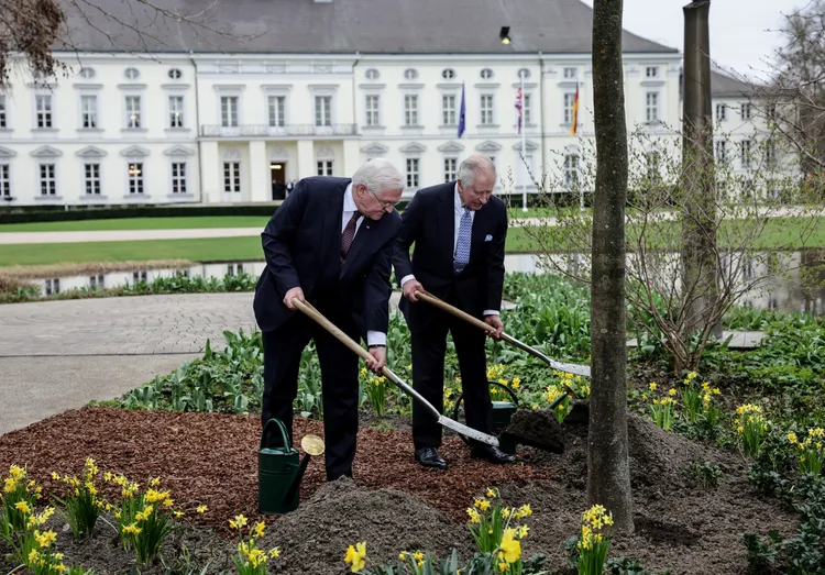 英王查理三世（右）與德國總統史坦麥爾，在德國總統府貝爾維尤宮外一起植樹。路透社