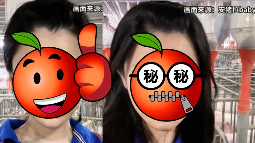 「獸醫系校花」24歲畢業在養豬場工作 年薪曝光!全家都挺她