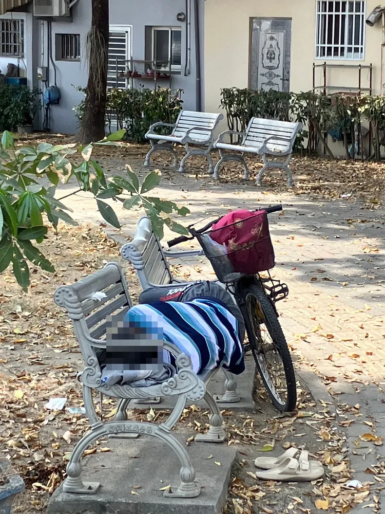 郭男在公園椅子上呼呼大睡。讀者提供