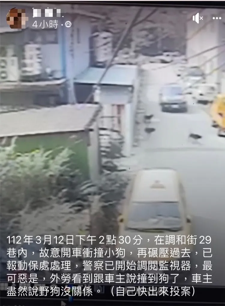 動保人士將肇事畫面PO網。翻攝畫面