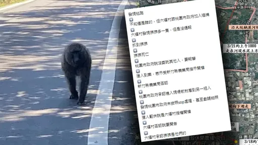 她列出「狒死時間軸」！ 看完嘆：ok，簡直可以拍出一部狒姐銅鈴眼