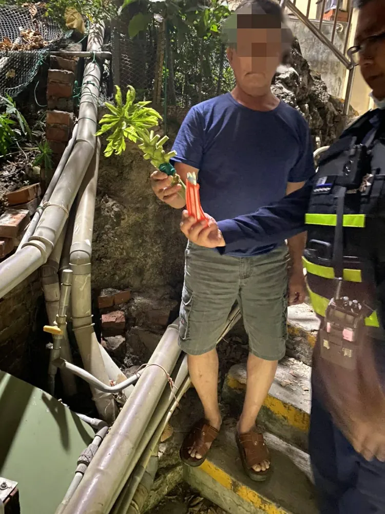 張男為做嫁接實驗，以美工刀割斷他人的木瓜樹。讀者提供