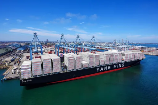 陽明股息殖利率誘人 爆量收漲2.5%!成台股人氣王