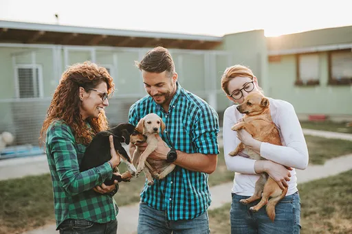 壹蘋派生活美語 友善毛孩 以領養代替購買(二)